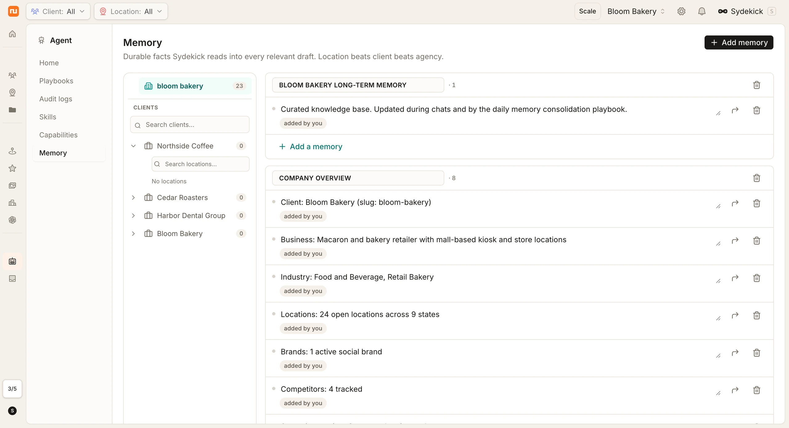 The Synup Memory panel for Woops: long-term memory entries, company overview facts, and an open editor for adding new memories scoped to a client.