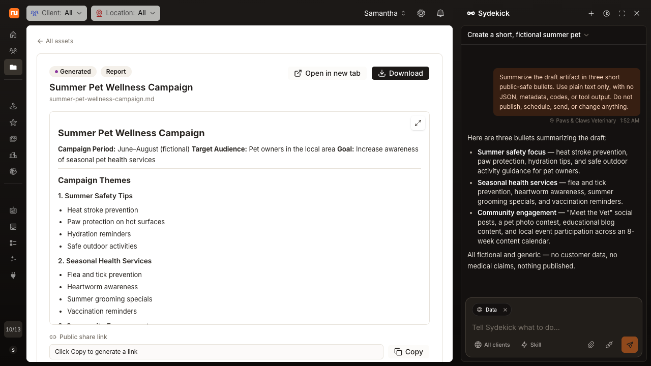 A generated summer pet wellness campaign preview open beside the Sydekick conversation.