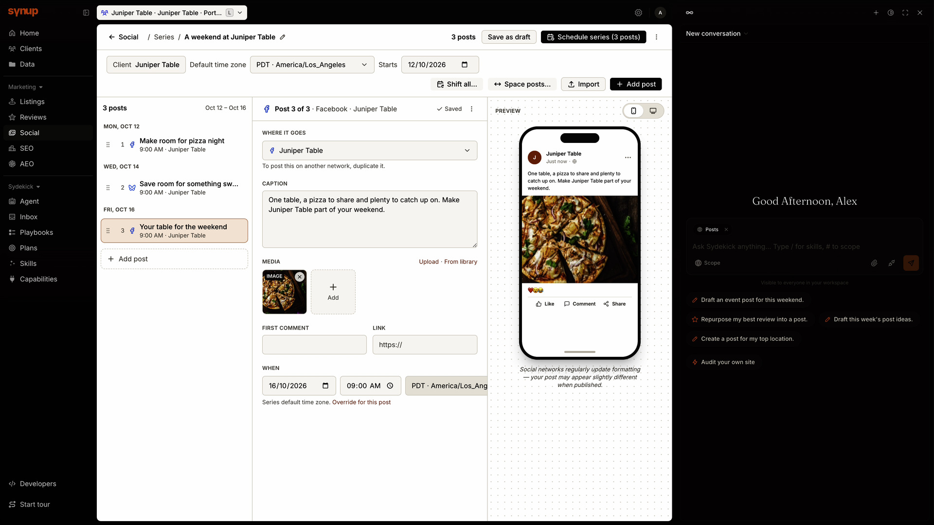 Social Series with image selection, Facebook and Bluesky previews, a spacing preview and a schedule review before returning to editing.